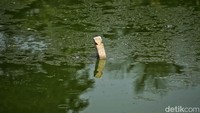 Total ada 3800 makam yang terendam di air di kampung itu. 