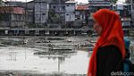 Potret Kampung Apung Surut Akibat Kemarau Panjang