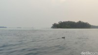 Matahari mulai tinggi, pemandangan di seberang lautan mulai terlihat meski masih samar. (bonauli/detikcom)