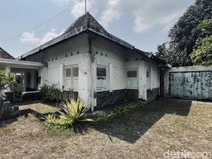 Berkat Sego Abang Jadi Jago Bahasa