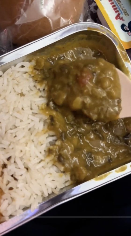WNI Ini Review Makanan di Pesawat India, Rasa Menunya Begini