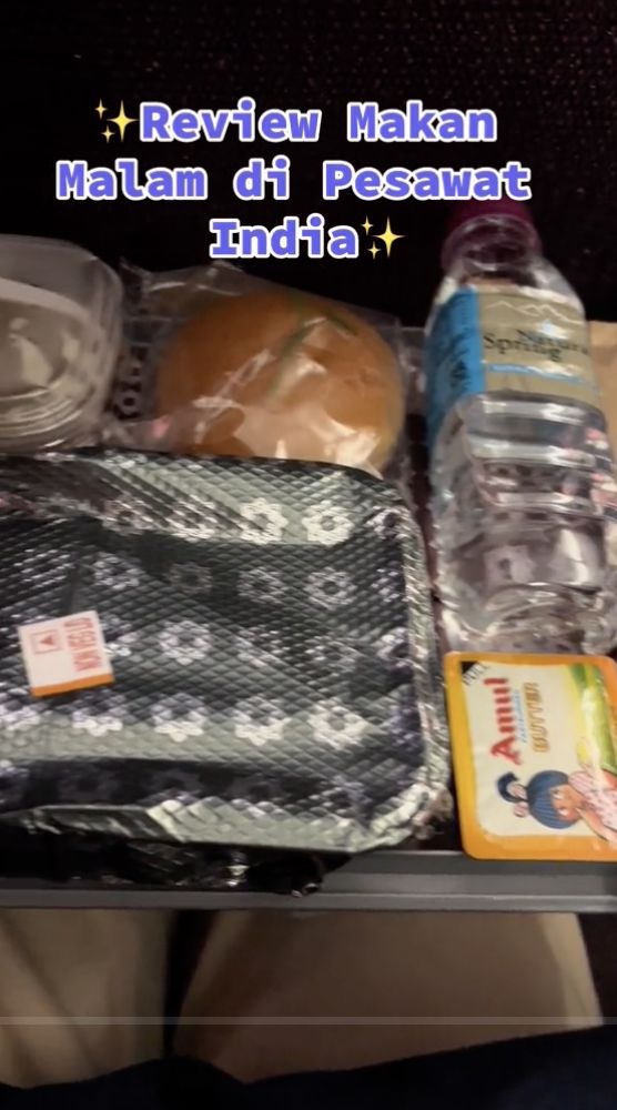 WNI Ini Review Makanan di Pesawat India, Rasa Menunya Begini
