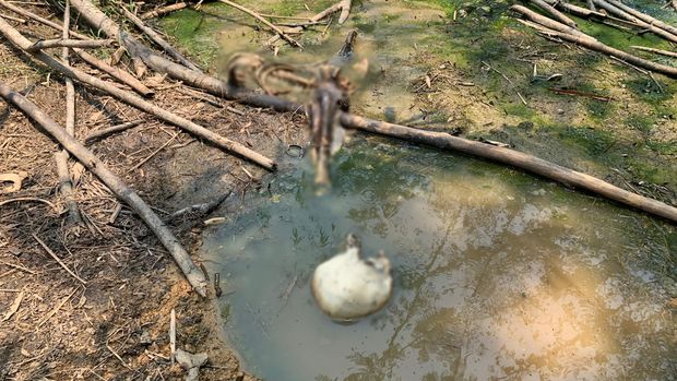 Kerangka manusia ditemukan di Hutan Jasinga, Bogor, Jawa Barat. (dok Polsek Jasinga)