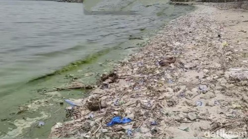 Kondisi Pantai Kalaki di Bima yang penuh sampah dan air berwarna hijau.