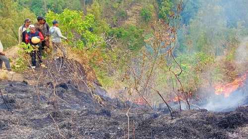 KPH Bali Timur bersama BPBD melakukan upaya pemadaman terhadap kebakaran di hutan lindung lereng Gunung Abang, tepatnya di wilayah Desa Ban, Kecamatan Kubu, Kabupaten Karangasem, Bali, Minggu (29/10/2023). (Foto: Dok. BPBD Karangasem)