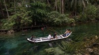 Warna air danau yang biru jernih juga dapat terlihat dari jauh, dengan warna hitam dari beberapa tumbuhan air yang hidup di dasarnya. 
