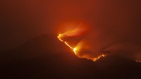 Balai Taman Nasional Gunung Merbabu menutup semua jalur pendakian Gunung Merbabu akibat terjadinya kebakaran hutan dan lahan di wilayah tersebut.  
