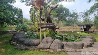 Kolam ikan berbatu, taman yang ditumbuhi bunga-bunga, hingga rumah kecil ala negeri dongeng di sini bisa jadi spot estetik untuk foto instagram traveler. Traveler juga bisa mencoba menunggangi kuda dan memberi makan hewan, yang pastinya perlu membayar di luar tiket masuk.  
