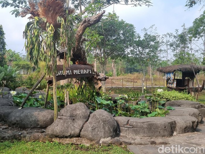 Wisata di Yogyakarta memang tidak ada habisnya. Andai traveler mencari tempat wisata yang mempunyai banyak spot foto, Agrowisata Bhumi Merapi tempatnya.