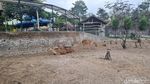 Potret Agrowisata Bhumi Merapi, Wisata Jogja Tapi Berasa Keliling Dunia