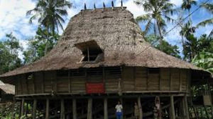 Rumah Adat Nias Omo Hada