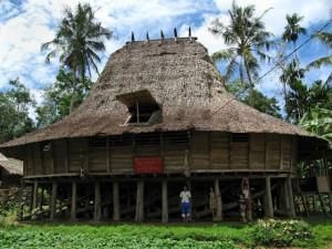 Mengenal Omo Hada, Rumah Adat Nias yang Tahan Gempa