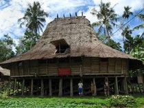 Mengenal Omo Hada, Rumah Adat Nias yang Tahan Gempa