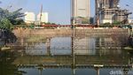 Penampakan Sungai Kalisari Damen  Bersih Dari Eceng Gondok