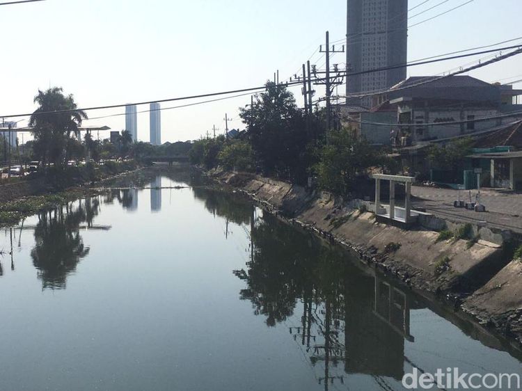 Penampakan Sungai Kalisari Damen  Bersih Dari Eceng Gondok