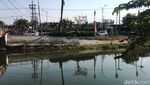 Penampakan Sungai Kalisari Damen  Bersih Dari Eceng Gondok