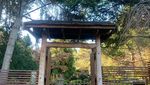 Unik, Kebun Raya Ini Hadirkan Nuansa Jepang di Australia