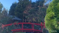 Japanese red bridge atau Hashi