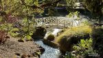 Unik, Kebun Raya Ini Hadirkan Nuansa Jepang di Australia