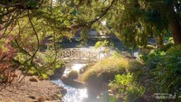 Jembatan putih atau White bridge di Royal Tasmanian Botanical Garden