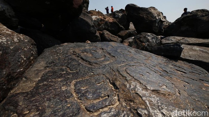 Amazon Kering, Batu Berukiran Wajah Kuno Bermunculan Sungai Amazon sedang surut. Hal ini membuat batuan batuan berukiran wajah kuno bermunculan. Ini penampakannya.