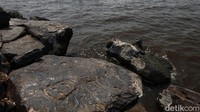 Batuan ini ditemukan di pantai utara Amazon, tempat pertemuan Sungai Rio Negro dan Solimoes.  