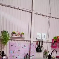 Bagian dapur tersebut tampak begitu rapi dengan barang-barangnya tertata. Untuk mempercantiknya juga terdapat beberapa tanaman hias kecil. Foto: Instagram/@mayasari.100