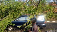 Dua mobil yang terimpa tersebut saat melintas di Jalan Merr sebarang  Kampus C Unair.