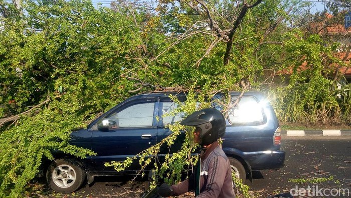 Dua Mobil Tertimpa Pohon Asem Londo