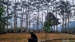 Healing di Nawang Jagad dengan View Gunung Merapi