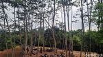 Healing di Nawang Jagad dengan View Gunung Merapi