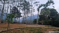 Jika ingin datang ramai-ramai bersama teman, boleh mencoba menyewa area camping di sini. Harganya Rp 20 ribu untuk anak-anak dan Rp 35 ribu untuk dewasa. Di sini juga ada penyewaan kendaraan off road seperti ATV, trail, dan mobil jeep. Traveler akan dibawa melewati medan-medan menantang di bagian bawah Nawang Jagad.  