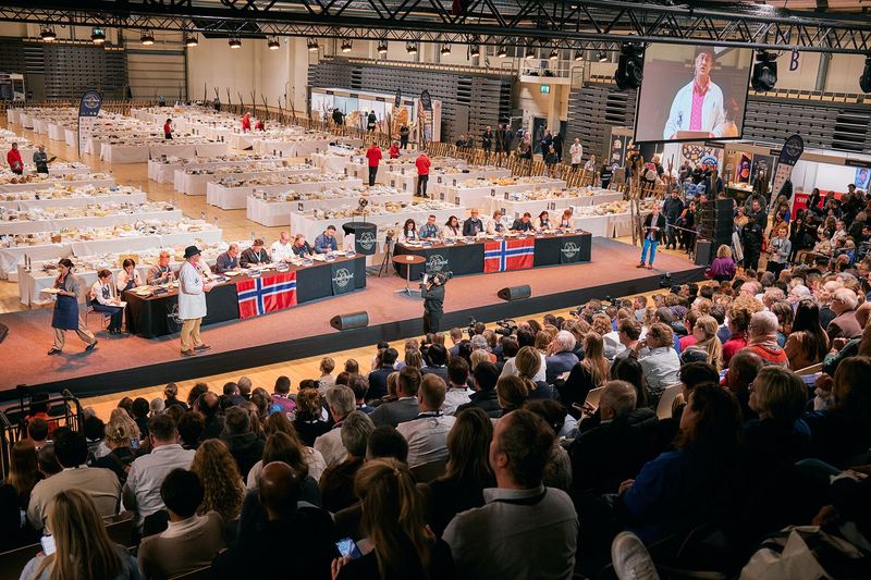 Keju Asal Norwegia Sabet Gelar Keju Terbaik di Dunia World Cheese Award 2023