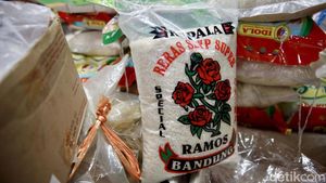 Kemarau Tak Kunjung Usai, Harga Beras Tembus Rp 15.000/Kg