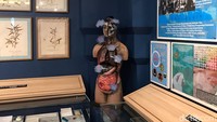 Terlihat juga di pojok ruangan, sebuah replika tubuh manusia yang rusak dampak mengkonsumsi narkotika. (Fitrya Anugrah/detikcom)