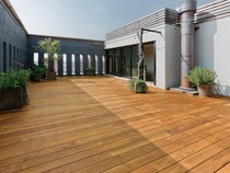 Ini 5 Jenis Kayu yang Cocok Dijadikan Lantai buat Ruangan Outdoor