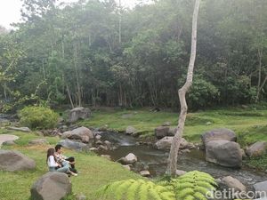 Ledok Sambi Tempat Adem Tepi Sungai Pas buat Liburan Keluarga