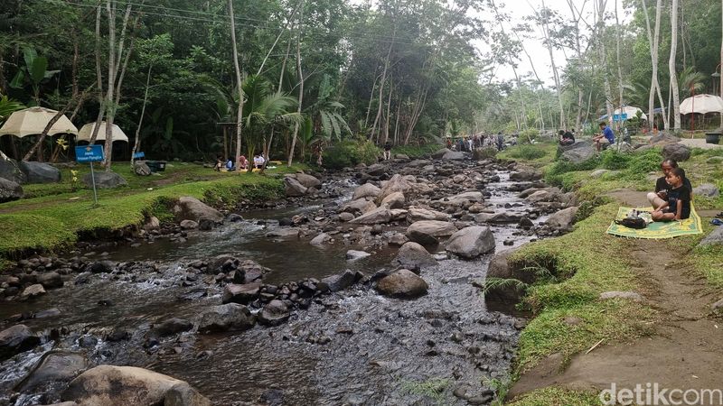 Ledok Sambi di Desa Wisata Sambi, Sleman, Yogyakarta, memiliki keindahan alami dari aliran sungai di tengah rumput hijau. Yuk kita lihat.