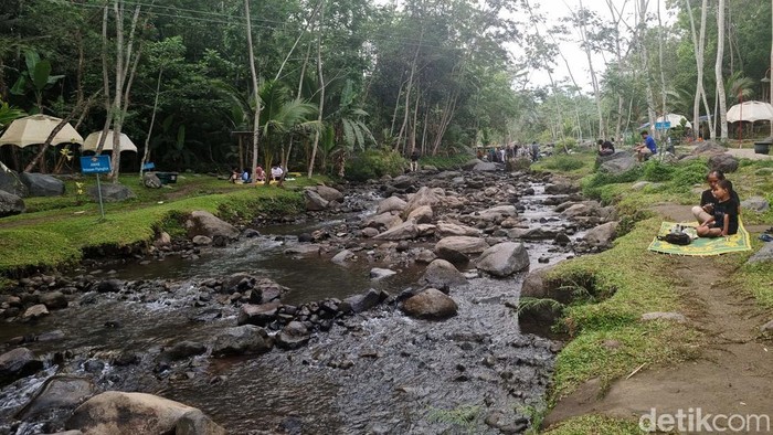 Ledok Sambi di Desa Wisata Sambi, Sleman, Yogyakarta, memiliki keindahan alami dari aliran sungai di tengah rumput hijau. Yuk kita lihat.
