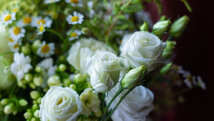 Ilustrasi mawar putih.