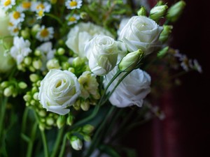 8 Filosofi Mawar Putih, Simbol Kesucian dan Keabadian