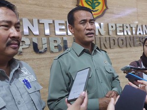 Amran Mau Genjot Produksi Padi dengan Sulap Rawa jadi Sawah