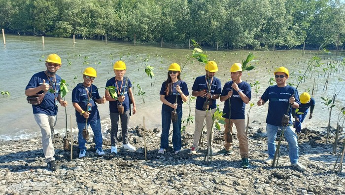 PNM Gandeng Waskita Beton Tanam Mangrove dan Buka Akses Air Bersih