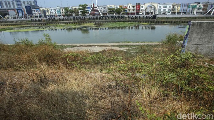 Begini penampakan tanaman liar memenuhi Tarum Bhagasasi, Kota Bekasi, Senin (30/10/2023). Saluran air yang digadang-gadang mirip sungai Cheonggyecheon di Kota Seoul, Korea Selatan kini nampak miris.