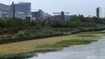Nasib Sungai Cheonggyecheon Bekasi Kini Tak Terawat