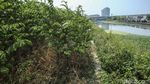 Nasib Sungai Cheonggyecheon Bekasi Kini Tak Terawat