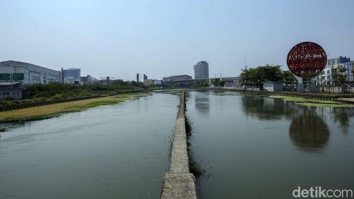 Sungai 'Cheonggyecheon' Bekasi Tak Terawat Begini penampakan tanaman liar memenuhi Tarum Bhagasasi, Kota Bekasi, Senin (30/10/2023). Saluran air yang digadang-gadang mirip sungai Cheonggyecheon di Kota Seoul, Korea Selatan kini nampak miris.