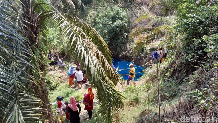 Air telaga di kebun sawit Bengkulu Tengah berubah menjadi biru. Warga berdatangan.