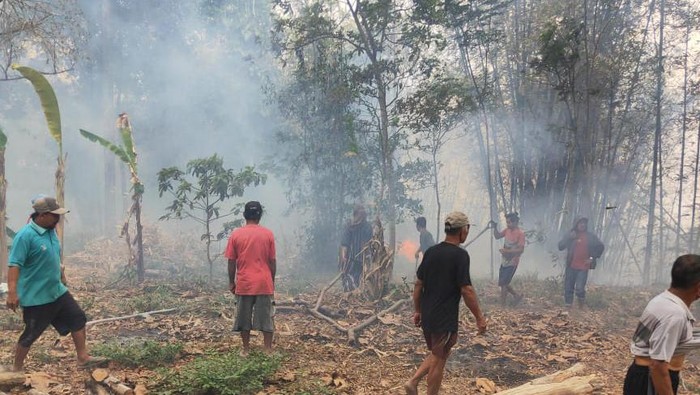 Warga Musuk, Boyolali, berusaha memadamkan lahan yang terbakar, Senin (30/10/2023).
