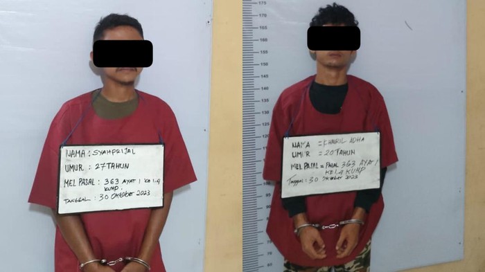 2 pelaku pencurian lembu di Labura. (Foto: Dok. Polres Labuhanbatu)